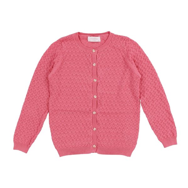 Hadas Crochet Knit Cardigan Online Sale - Image 5